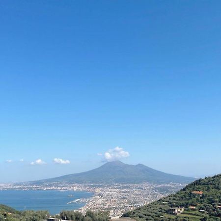 Miravesuvio Apartment Pimonte Bagian luar foto